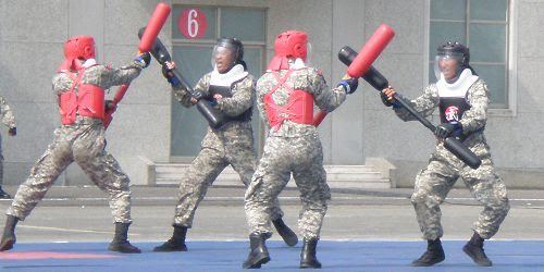 訓練用格鬥棒