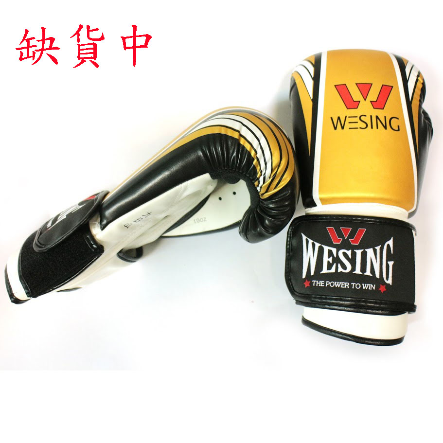 IFMA標準泰拳拳套