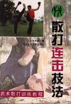 《散打連擊技法》書封