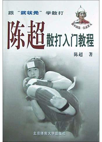 《陳超散打入門教程》書封
