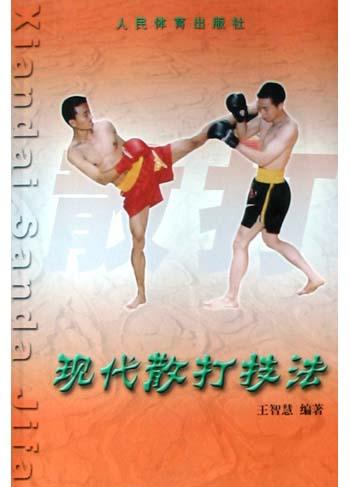《現代散打技法》書封