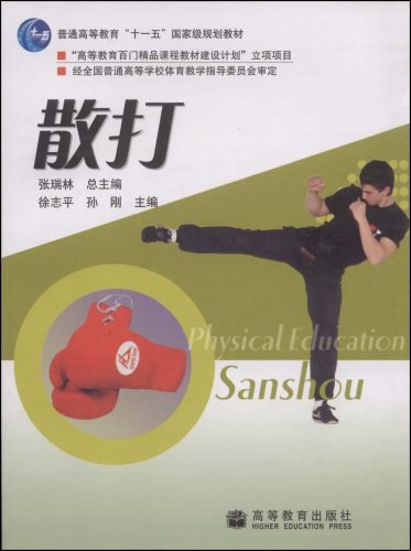 《散打》書封