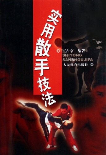 《實用散手技法》書封