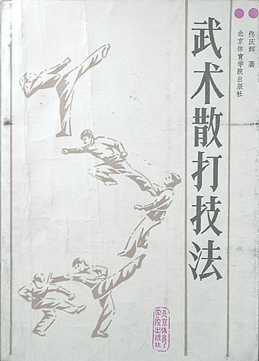 《武術散打技法》書封