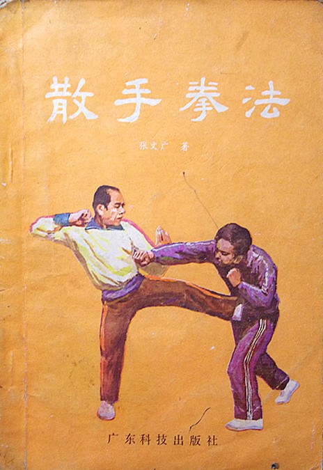 《散手拳法》書封