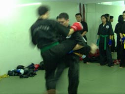 臥虎藏龍1